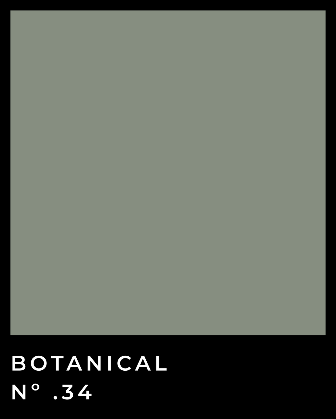 Botanical - Nº .34