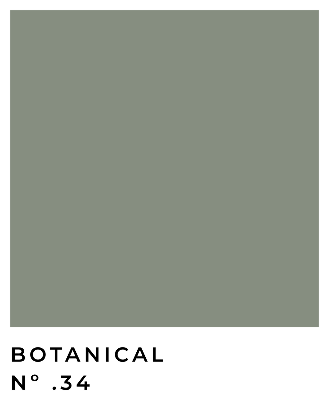 Botanical - Nº .34