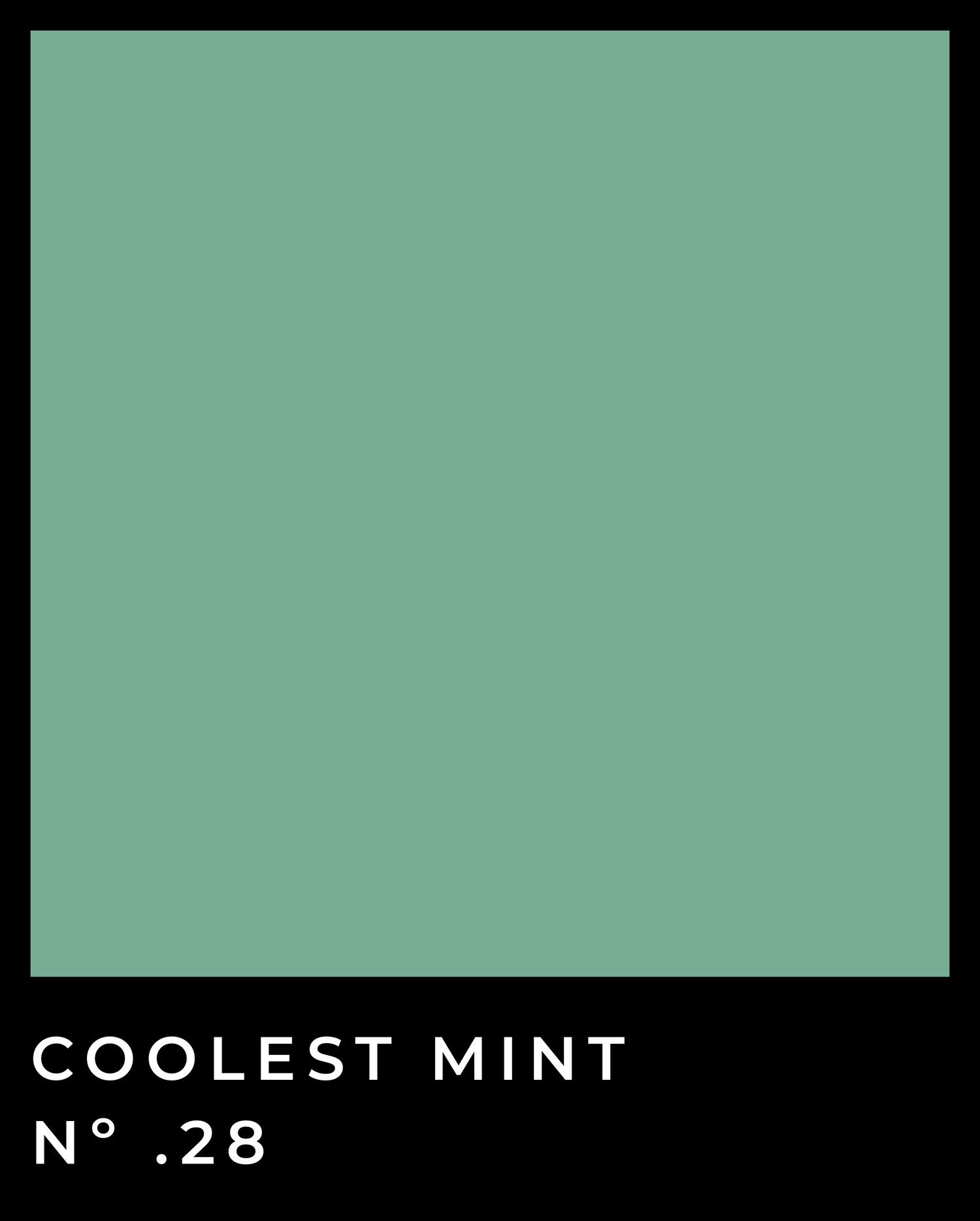 Coolest Mint - Nº .28