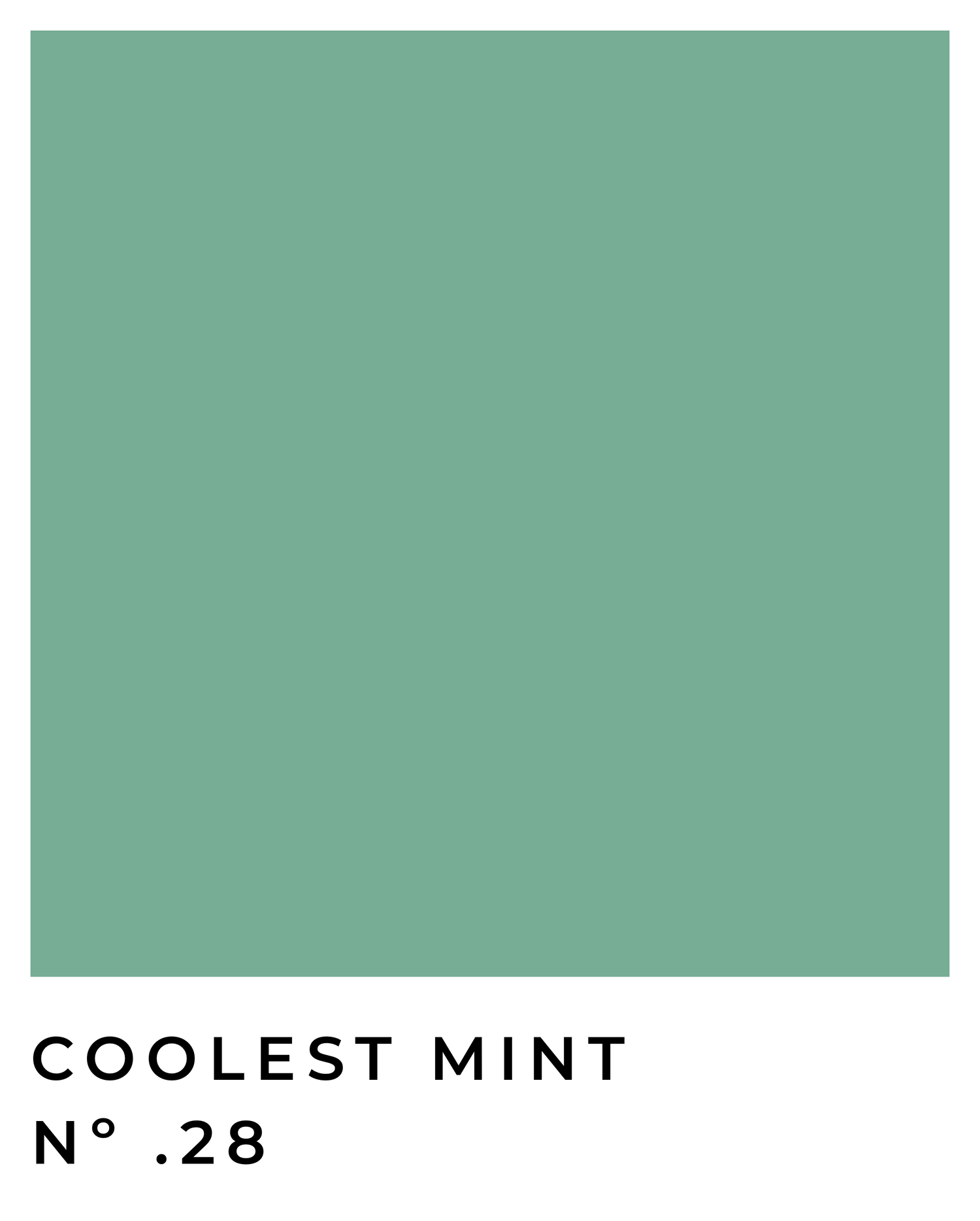 Coolest Mint - Nº .28