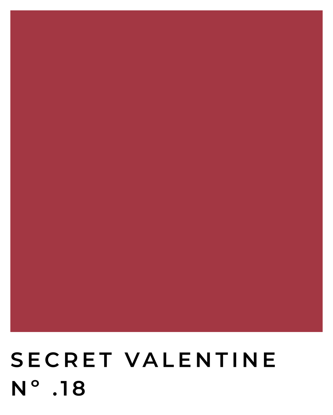 Secret Valentine - Nº .18